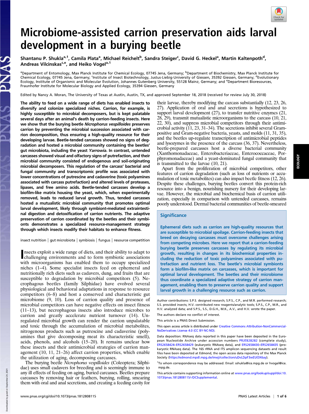 Microbiome-Assisted Carrion Preservation Aids Larval Development in a Burying Beetle