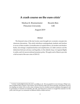 A Crash Course on the Euro Crisis∗