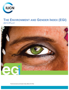 The Environment and Gender Index (Egi) 2013 Pilot