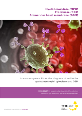 Myeloperoxidase (MPO) Proteinase (PR3) Glomerular Basal Membrane (GBM)