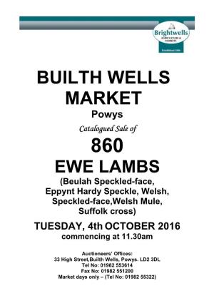 BUILTH WELLS MARKET Powys