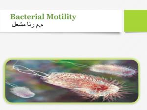 Bacterial Motility م.م رنا مشعل Bacterial Motility
