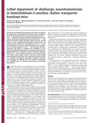 Lethal Impairment of Cholinergic Neurotransmission in Hemicholinium-3-Sensitive Choline Transporter Knockout Mice