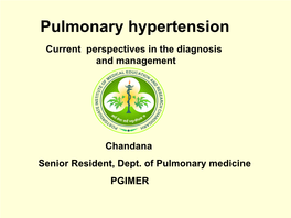Pulmonary Hypertension Current Perspectives in the Diagnosis and Management