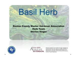 Basil Herb Presentation
