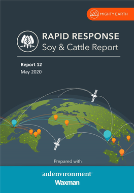 Report 12 May 2020