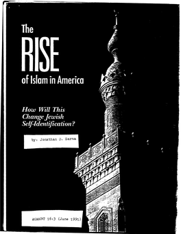 "The Rise of Islam in America: How Will This Change Jewish Self-Identification," Moment 16:3