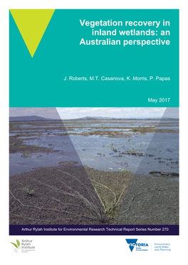 Vegetation Recovery in Inland Wetlands: an Australian Perspective