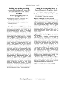 Insights Into Marine Microbial Communities That Couple Anaerobic