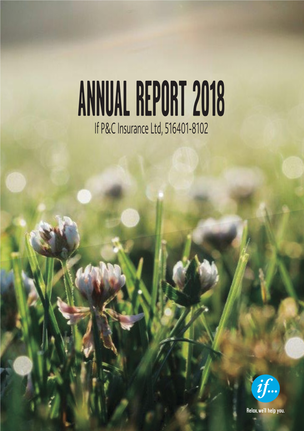 If P&C Insurance Ltd Annual Report 2018