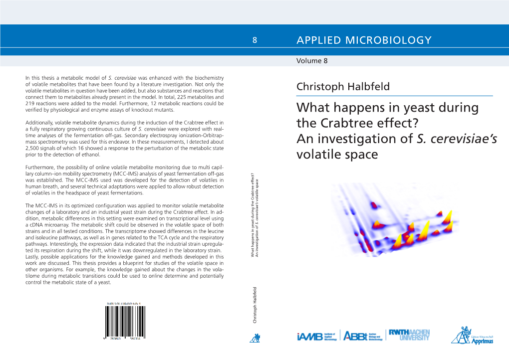 What Happens in Yeast During the Crabtree Effect? an Investigation of Work Are Discussed