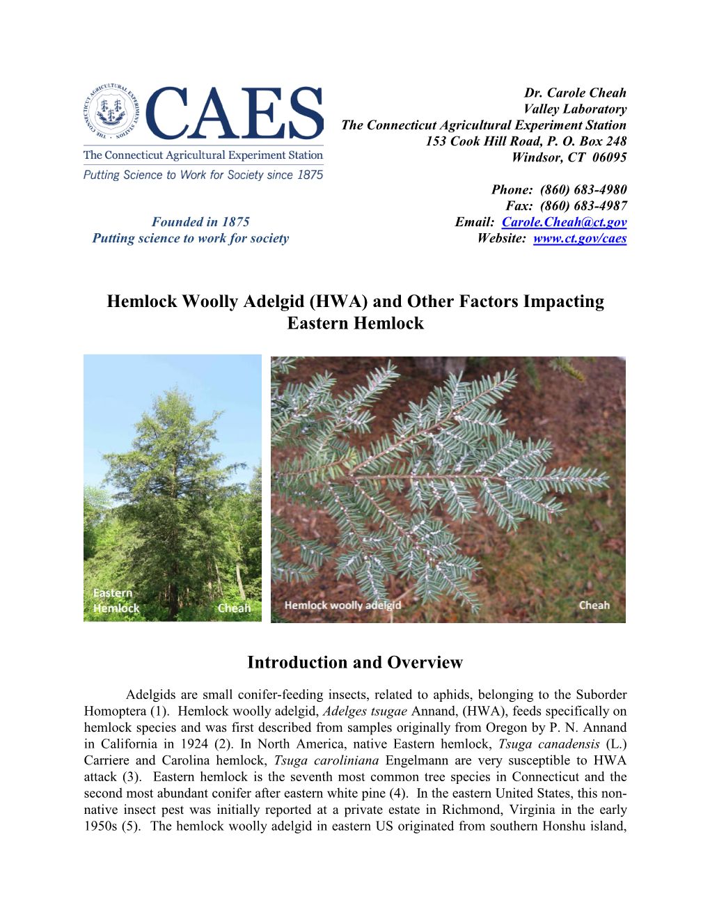 Hemlock Woolly Adelgid Facsheet Dec 2018