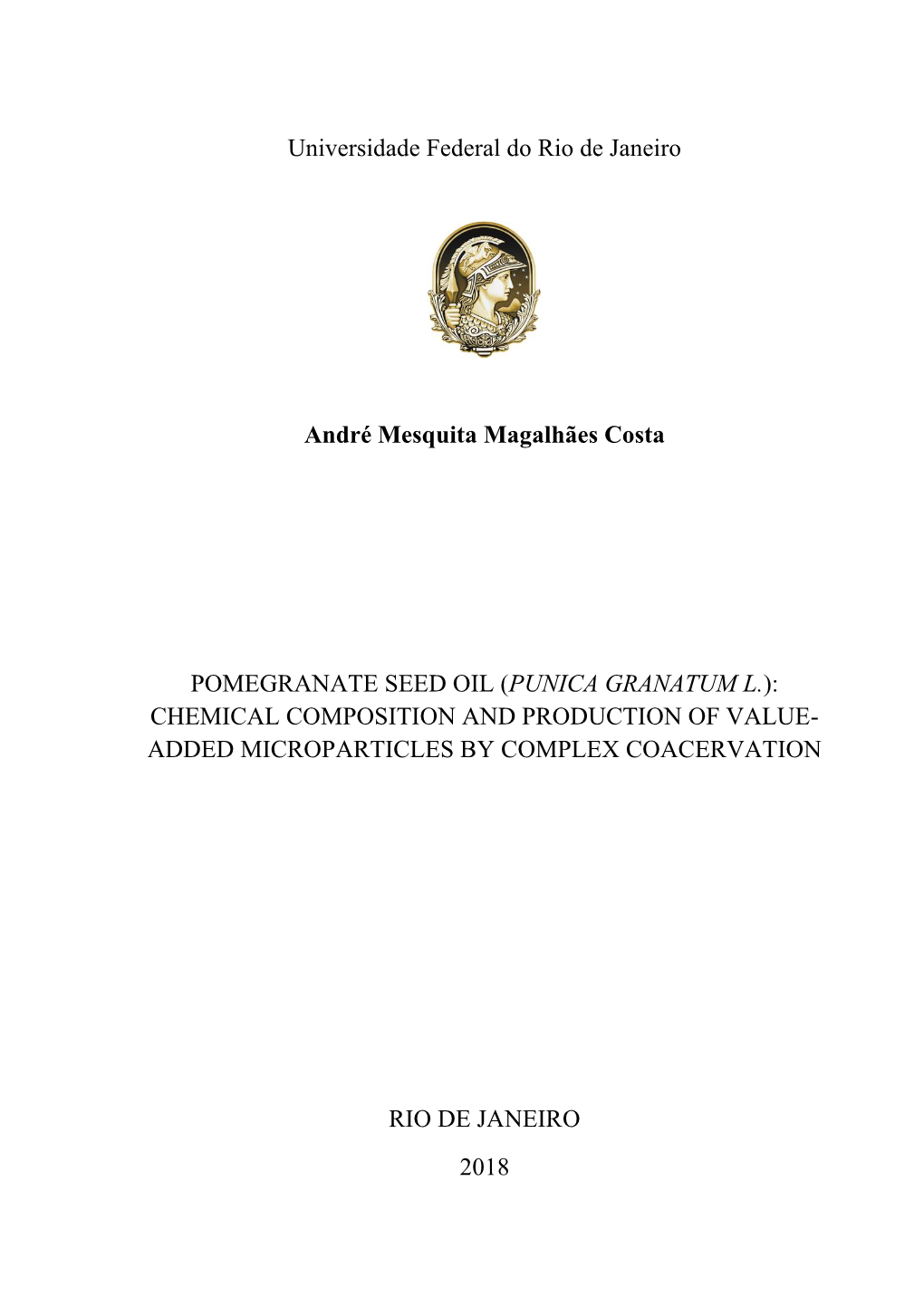 Universidade Federal Do Rio De Janeiro André Mesquita Magalhães