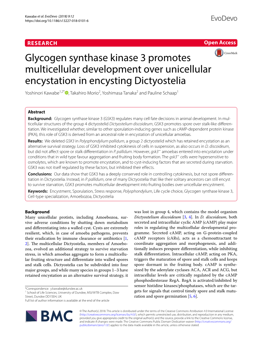 Glycogen Synthase Kinase 3 Promotes Multicellular Development Over