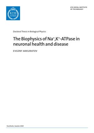 The Biophysics of Na+,K+-Atpase in Neuronal Health and Disease
