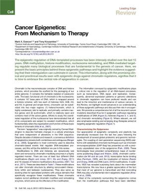 Cancer Epigenetics: from Mechanism to Therapy