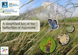 A Simplified Key to the Butterflies of Aquitaine