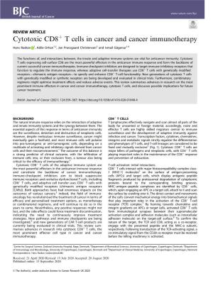 Cytotoxic CD8+ T Cells in Cancer and Cancer Immunotherapy
