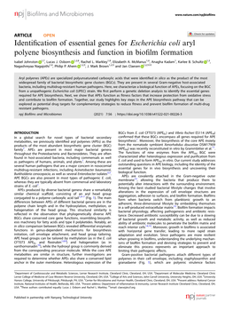 Identification of Essential Genes for Escherichia Coli Aryl Polyene