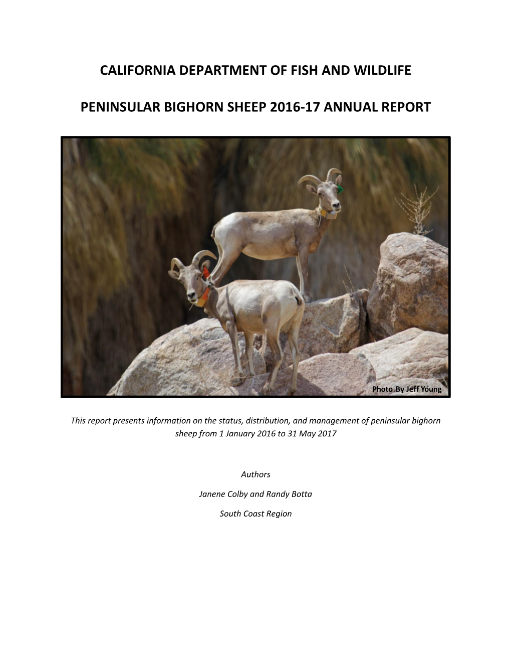 Peninsular Bighorn Sheep 2016-17 Annual Report