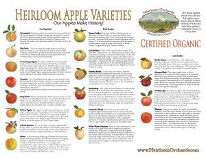 Heirloom Apple Varieties Better Sliced