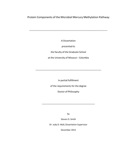 Protein Components of the Microbial Mercury Methylation Pathway