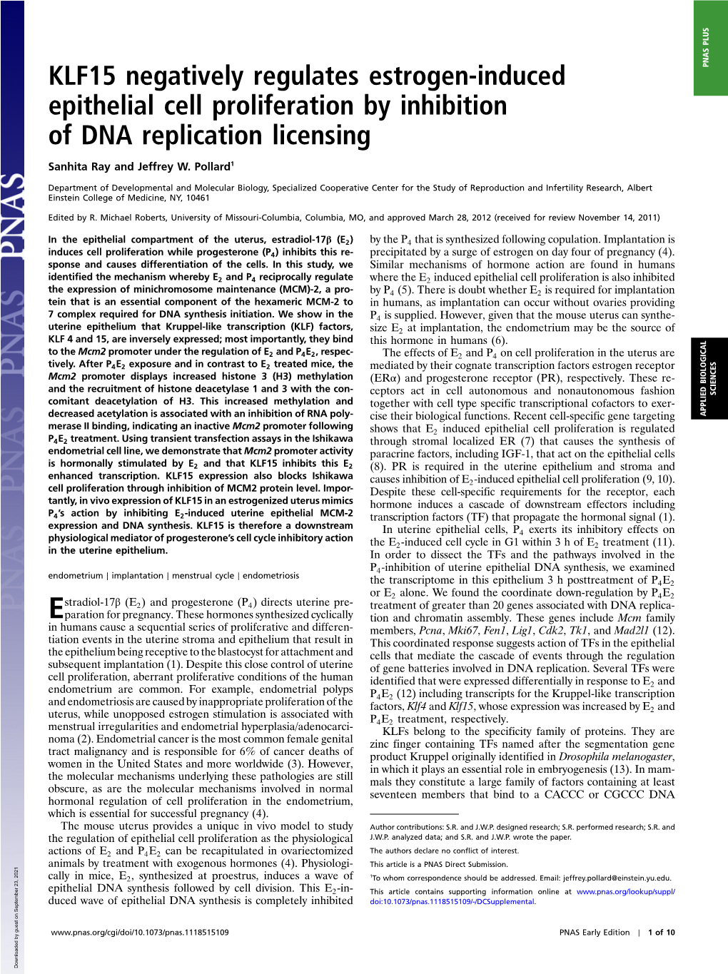 KLF15 Negatively Regulates Estrogen-Induced Epithelial Cell