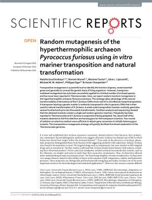 Random Mutagenesis of the Hyperthermophilic Archaeon