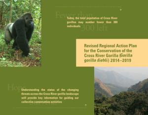 Revised Regional Action Plan for the Conservation of the Cross River Gorilla (Gorilla Gorilla Diehli) 2014–2019