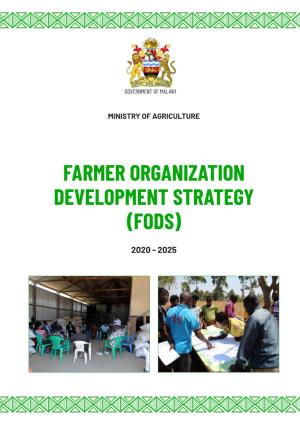 Farmer Organization Development Strategy (Fods)
