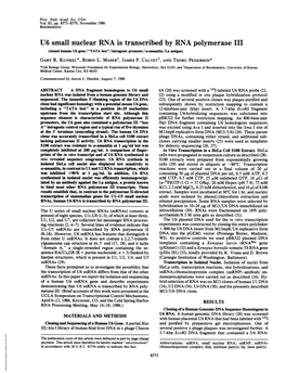 U6 Small Nuclear RNA Is Transcribed by RNA Polymerase III (Cloned Human U6 Gene/"TATA Box"/Intragenic Promoter/A-Amanitin/La Antigen) GARY R