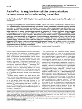 Rab8a/Rab11a Regulate Intercellular Communications Between Neural Cells Via Tunneling Nanotubes