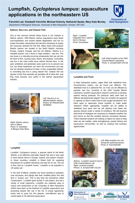Lumpfish, Cyclopterus Lumpus: Aquaculture Applications in the Northeastern US
