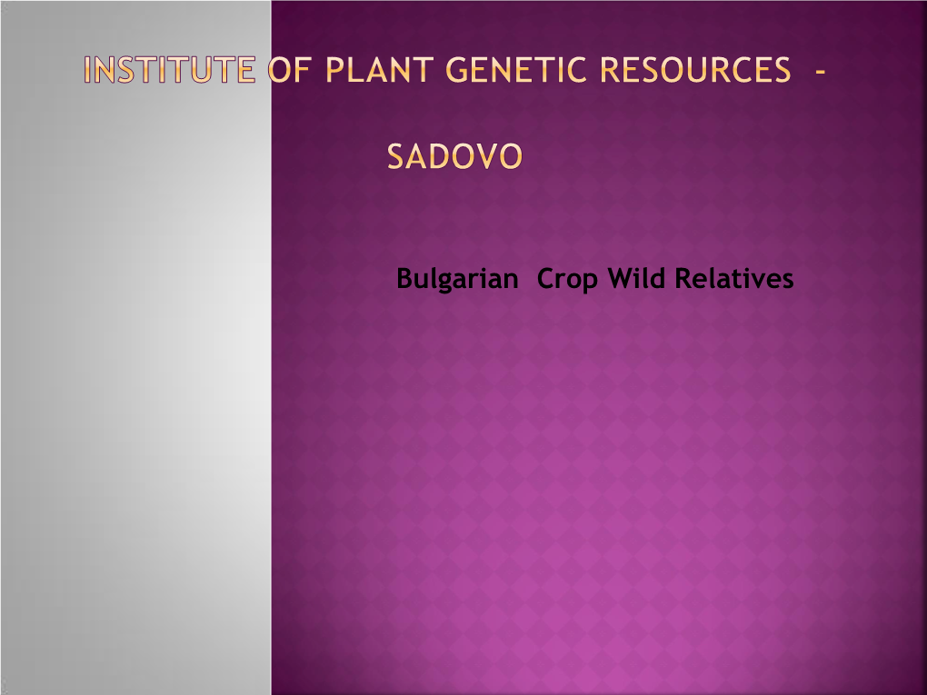 Bulgarian Crop Wild Relatives Bulgarian CWR Are Preserved in the Botanical Garden and in the National Genebank