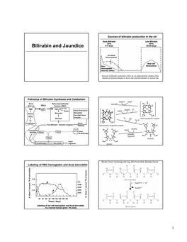 Bilirubin and Jaundice 0-3 Days 40-80 Days