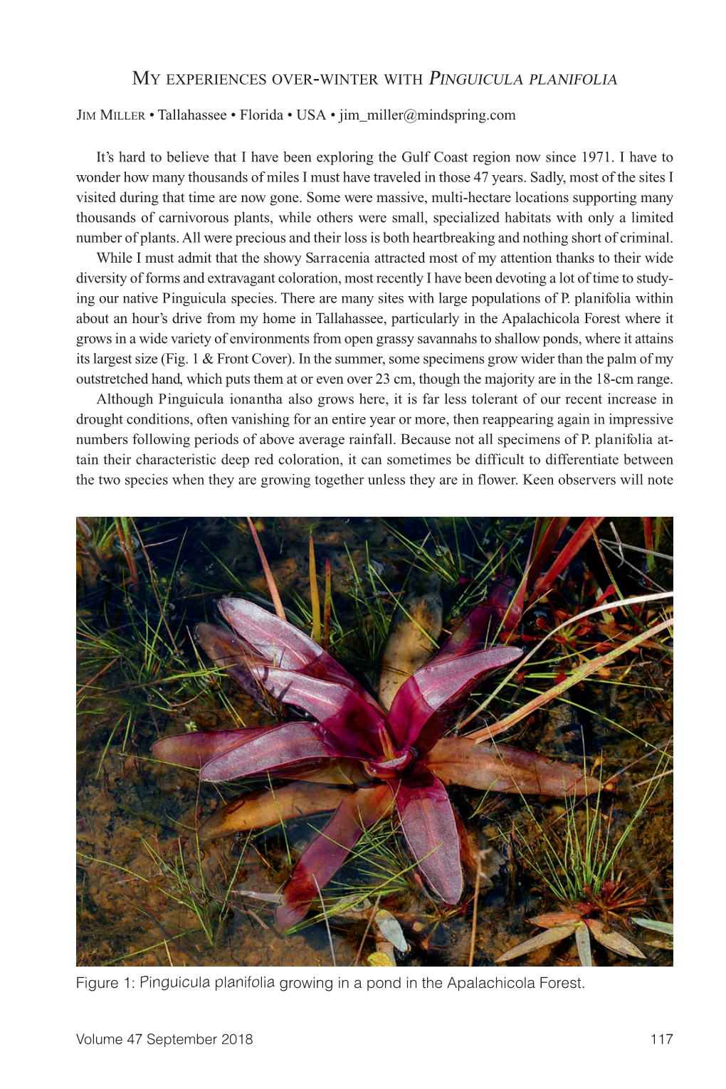 Carnivorous Plant Newsletter V47 N3 September 2018