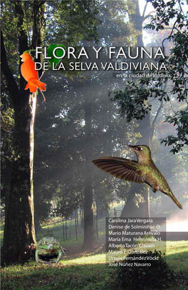 Flora Y Fauna De La Selva Valdiviana En La Ciudad De Valdivia