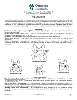 Hip Dysplasia