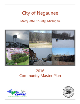City of Negaunee Master Plan