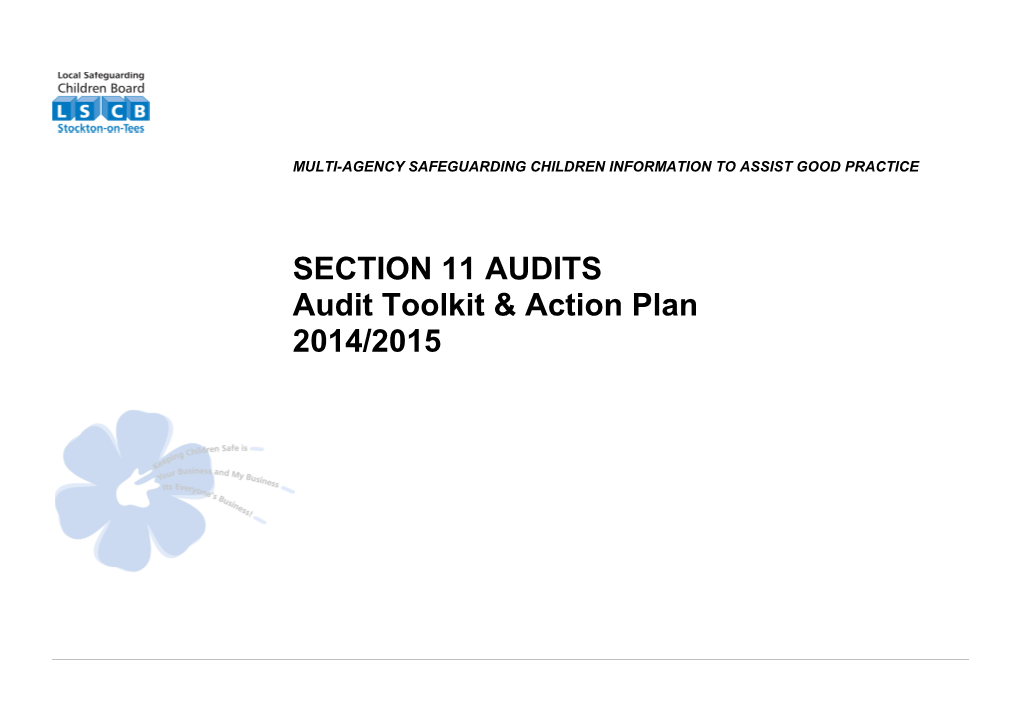 Section 11 Audit Guidance & Toolkit