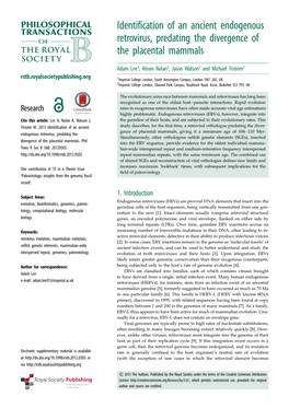 Identification of an Ancient Endogenous Retrovirus, Predating the Divergence of the Placental Mammals
