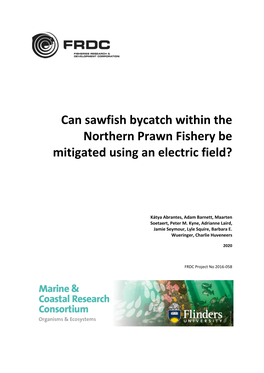 Can Sawfish Bycatch Within the Northern Prawn Fishery Be Mitigated Using an Electric Field?