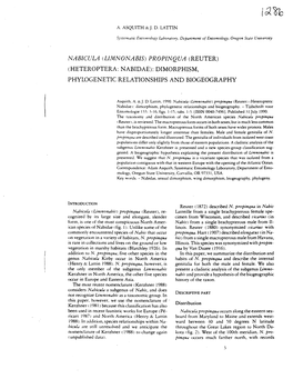 Nabicula (Limnonabis) Propinqua (Reuter) (Heteroptera: Nabidae): Dimorphism, Phylogenetic Relationships and Biogeography
