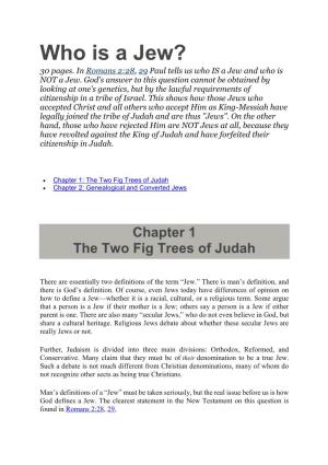 Who Is a Jew? 30 Pages
