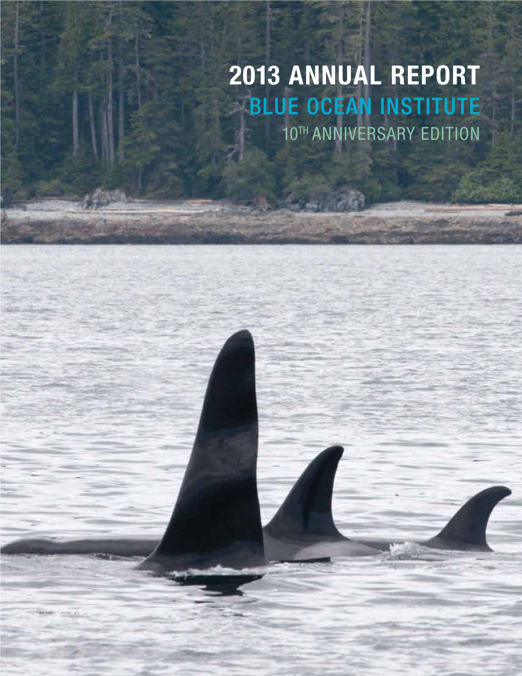2013 Annual Report Blue Ocean Institute 10Th Anniversary Edition