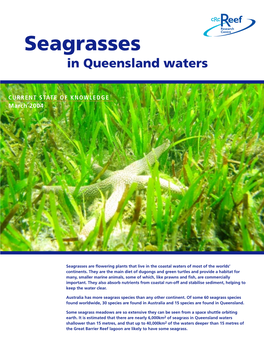 Seagrasses in Queensland Waters