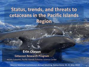 Cetaceans in the Pacific Islands Region