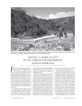 SAVING a RARE PLANT in an URBAN ENVIRONMENT by Keith Greer and Holly Cheong