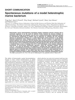 Spontaneous Mutations of a Model Heterotrophic Marine Bacterium