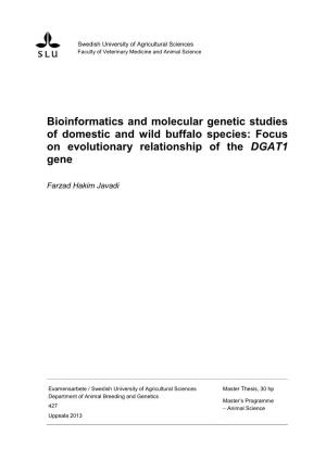 Bioinformatics and Molecular Genetic Studies of Domestic and Wild Buffalo Species: Focus on Evolutionary Relationship of the DGAT1 Gene